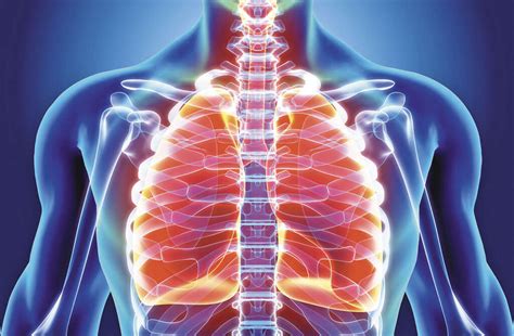 Acute Bronchitis: What Is Acute Bronchitis?