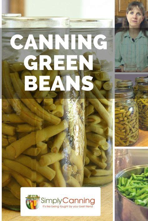 Canning Green Beans: Easy & a Perfect Start for New Canners! | Recipe | Can green beans, Canning ...