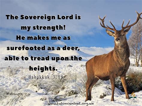 Habakkuk 3:19 #strength #deer #heights #God #verseoftheday | Verse of the day, Strength, Lord is ...