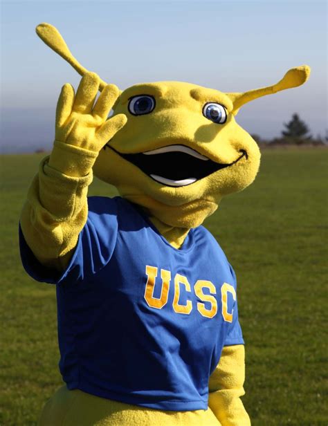 Sammy the Slug of the University of California at Santa Cruz #nbcsports