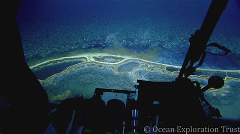 The Secret World of Underwater Lakes