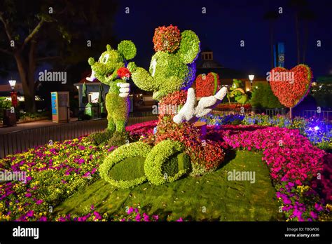 Orlando, Florida . March 27, 2019. Mickey and Minnie topiaries on a ...