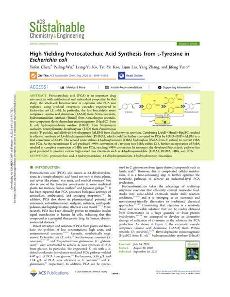 (PDF) High-Yielding Protocatechuic Acid Synthesis from l -Tyrosine in ...