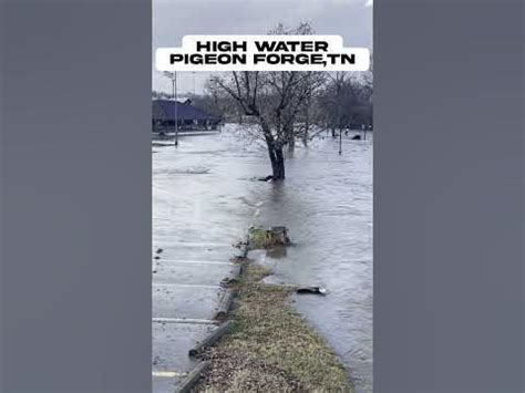 HIGH WATER PIGEON FORGE TENNESSEE 2024 #pigeonforge #gatlinburg #2024 # ...