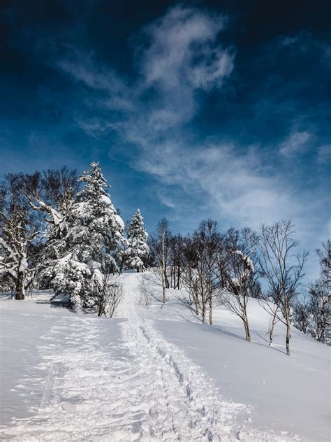 FURANO IN WINTER - ALL YOU NEED TO KNOW [HOKKAIDO]