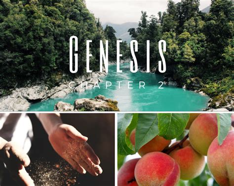 Genesis 2: Commentary – The Bible Community