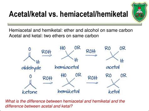 Macromolecules & Carbohydrates - ppt download