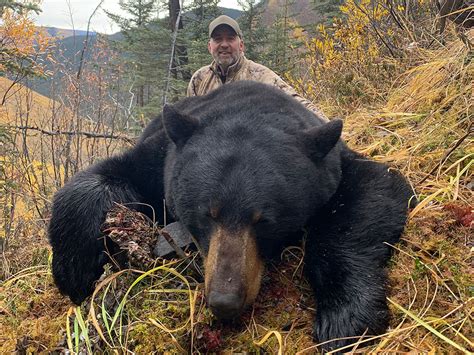 Black Bear Hunts in BC - Stone & Folding Mountain Outfitters