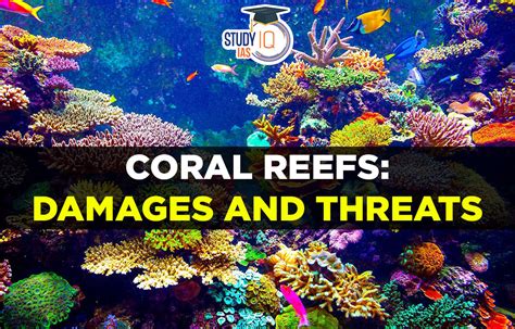 Coral Reefs Damages and Threats