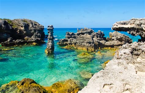 7 Best Places for Snorkeling In Bermuda | Enjoy Travel