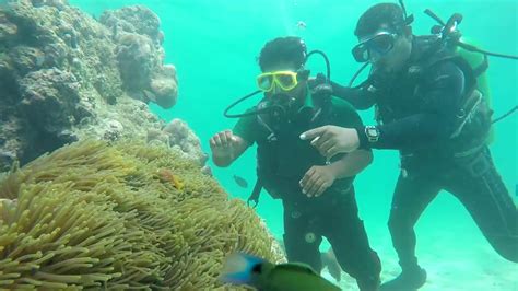 Scuba Diving At Lakshadweep Sea | Under Water Seeing - YouTube