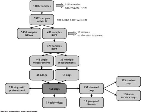 Reticulocytosis in non‐anaemic cats and dogs | Semantic Scholar