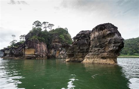 Bako National Park | Ocean Delight Tours & Travel | Kota Kinabalu, Sabah