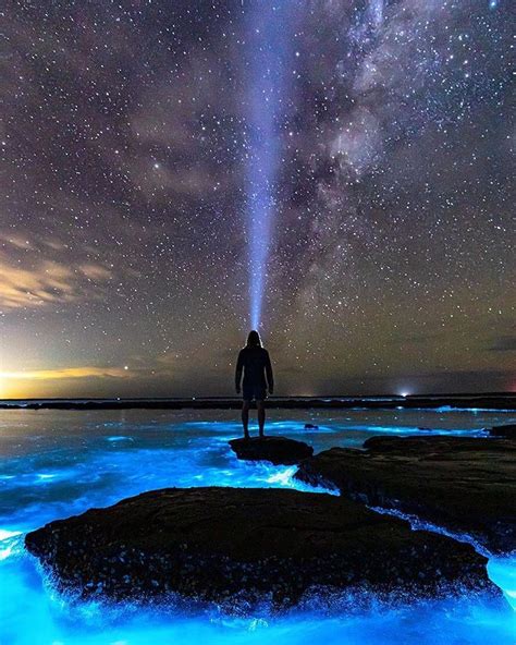 Vacations | Travel | Nature on Instagram: “Bioluminescent plankton in Jervis Bay, Australia ...