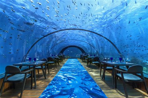 11 Incredible Underwater Hotels around the WorldThe World's Greatest Vacations