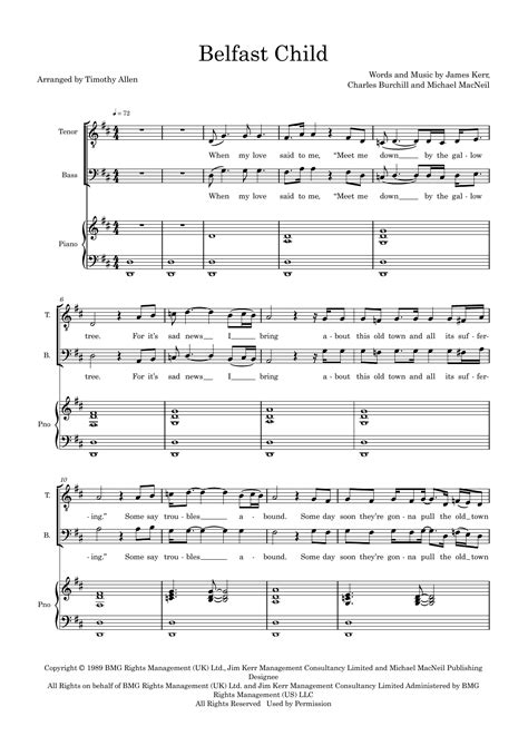 Belfast Child (arr. Tim Allen) - Full Score by Mick MacNeil Sheet Music for Choir Instrumental ...