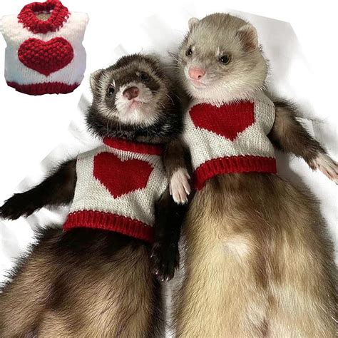 Ferret Costumes