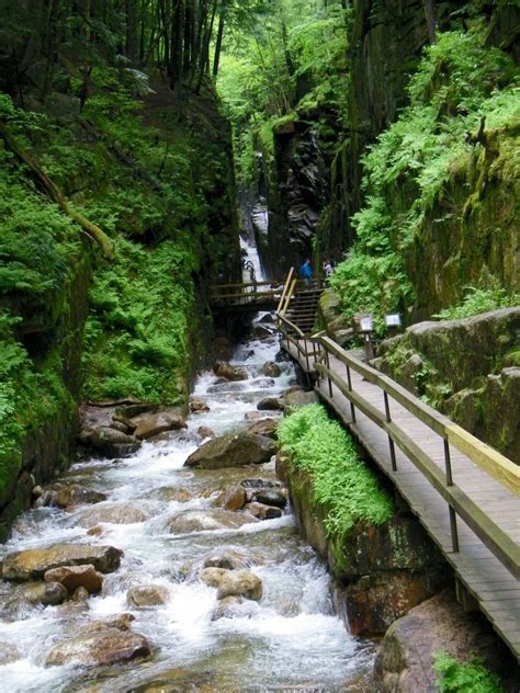 Franconia Notch State Park | Barbara K Olson, Travel Blogger