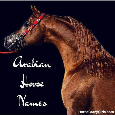 Arabian Horse Names