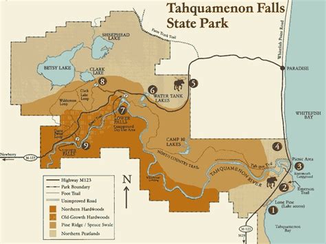 Tahquamenon Falls State Park (Venue) - Mackinaw Mill Creek Camping