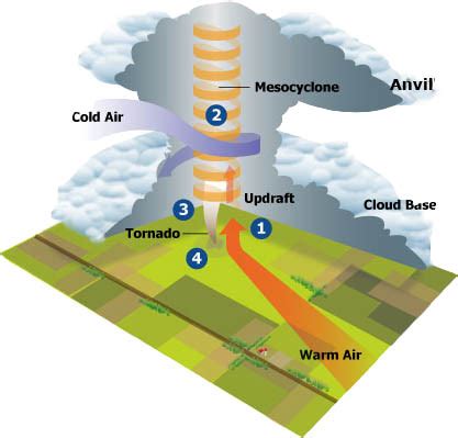 Labeled Diagram Of A Tornado