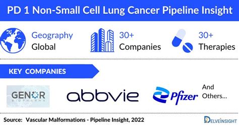 PD 1 Non-Small Cell Lung Cancer Pipeline Drugs and Companies