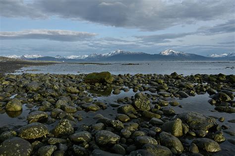 Homer, Alaska Photograph by Stephen VanGorkum - Fine Art America