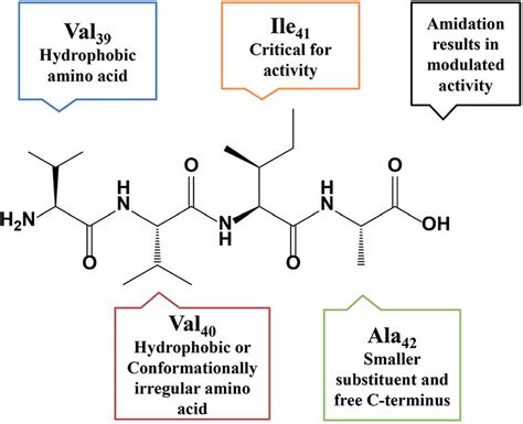 Derived structure-activity-relationship of tetrapeptides. | Download Scientific Diagram