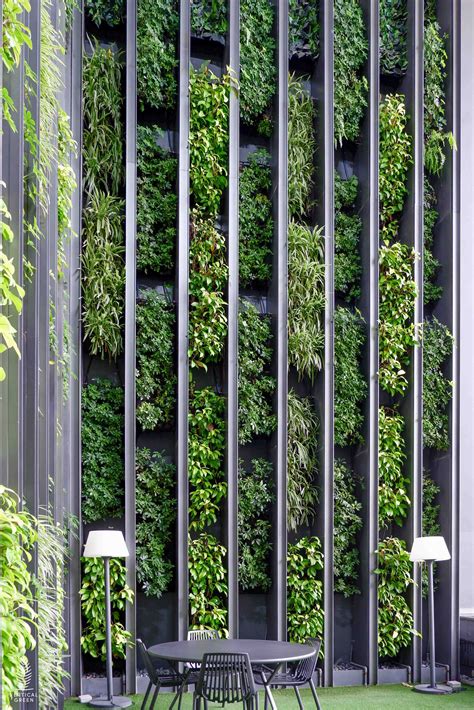 Echelon Condominium // Sky of Greens | Green facade, Vertical green wall, Living green walls