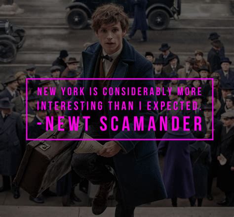 harry potter character quote • newt scamander | Character quote, Harry ...