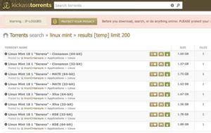 6 Best 1337x Alternatives To Use When Torrent Site Is Down (2024)