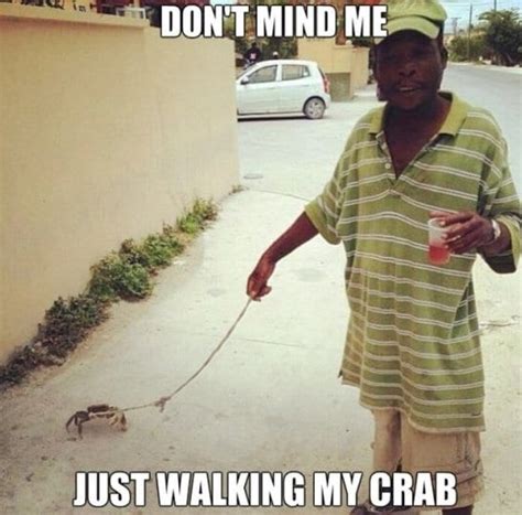 Meme - My Crab - Viral Viral Videos