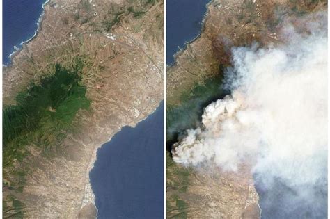 Tenerife firefighters stabilise huge wildfire after nine days | The Straits Times