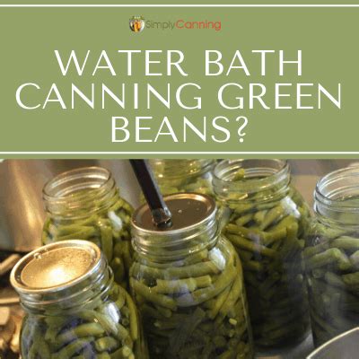 Canning Green Beans: Easy & a Perfect Start for New Canners!