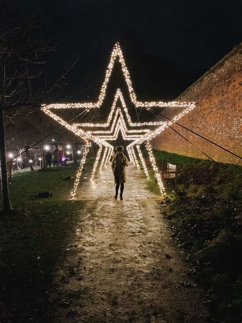 Review of the Alnwick Winter Gardens Light Trail - Through New Eyes