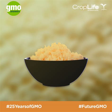 25 Things to Know From 25 Years of GMOs | GMO Answers