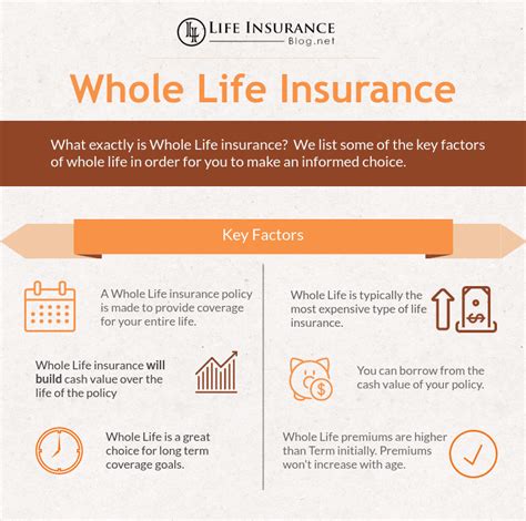 Life Insurance Types Explained [Term Life, Whole Life, Universal Life]