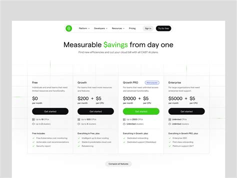 CAST AI - Pricing Page by Arvydas Gečas on Dribbble