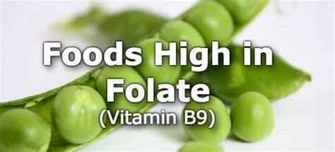 Folate Rich Foods Chart: A Visual Reference of Charts | Chart Master