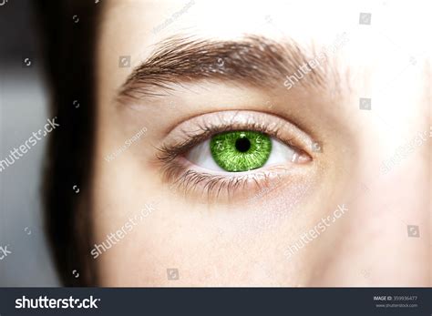 Insightful Look Green Eyes Boy Stock Photo 359936477 | Shutterstock