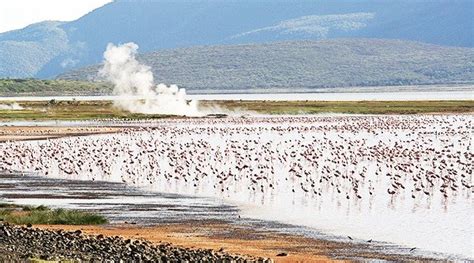 Lake Bogoria National Reserve | Sima Safari