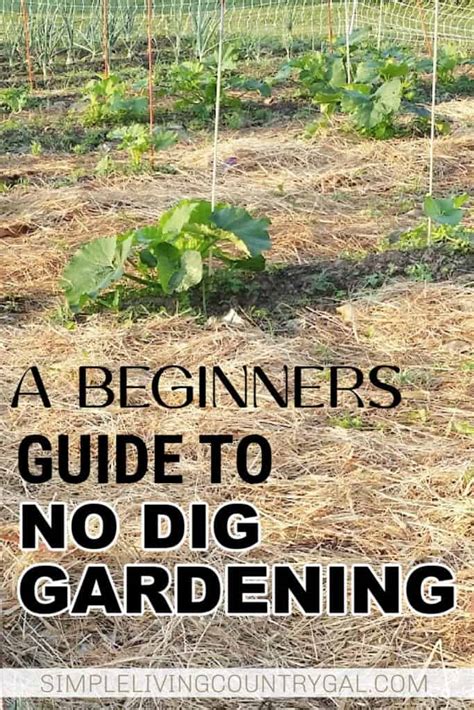 no dig gardening | Simple Living Country Gal