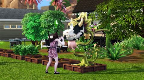 How to Get a Cowplant in The Sims 4