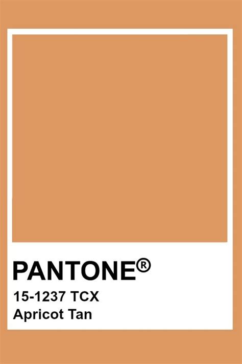 Beautiful Work Tan Pantone Color Chart 289c