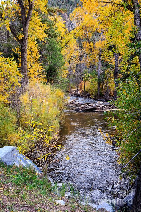 Cimarron Canyon State Park Photograph by Richard Smith - Pixels