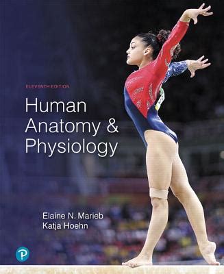 Human Anatomy & Physiology by Elaine Nicpon Marieb - Alibris UK