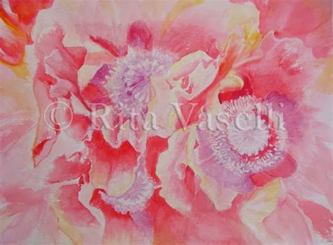 WIP 2-second step of my Oriental Poppies-RitaVaselli Watercolors