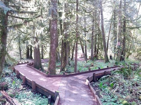 Thrifty Thurston - 5 Hikes Under and 5 Hikes Over 5 Miles Near Olympia - ThurstonTalk