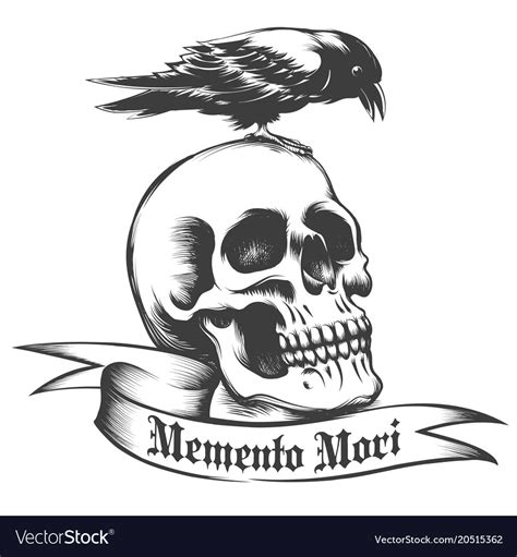 Skull and crow Royalty Free Vector Image - VectorStock