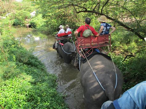 manuelimson: Elephant Ride in Thailand